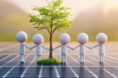 Partners on a solar panel standing around a tree